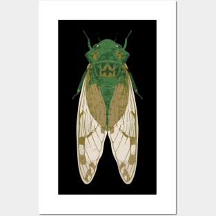 Cicada Insect Great Eastern Brood X USA 2024 Magicicada Posters and Art